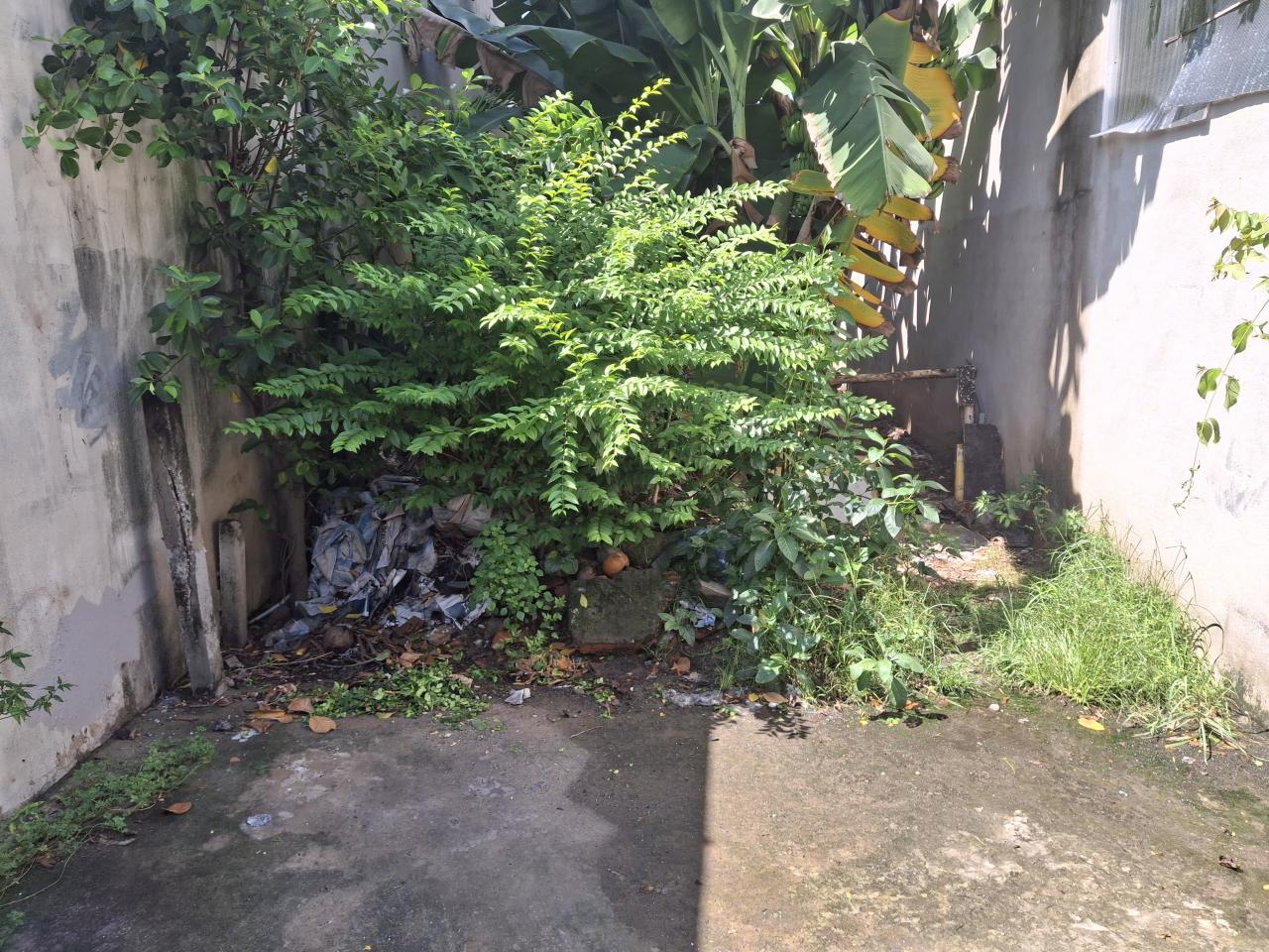 Đất vuông 76m², Vuông, Đ.5m – Hà Huy Giáp  Q12 - Ảnh chính
